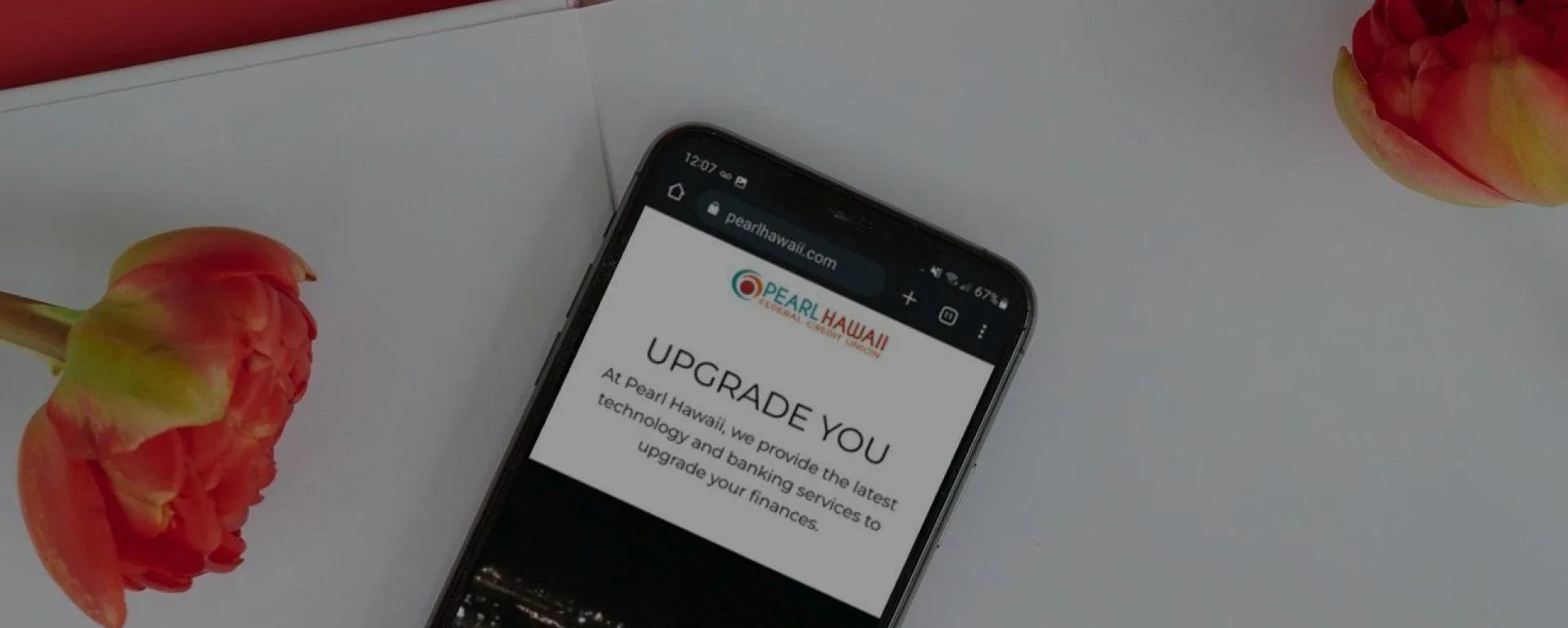 Credit Unions: cub pearl transfer