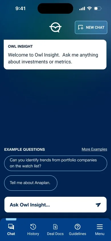 Blue Owl: chat
