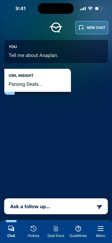 Blue Owl: thinking