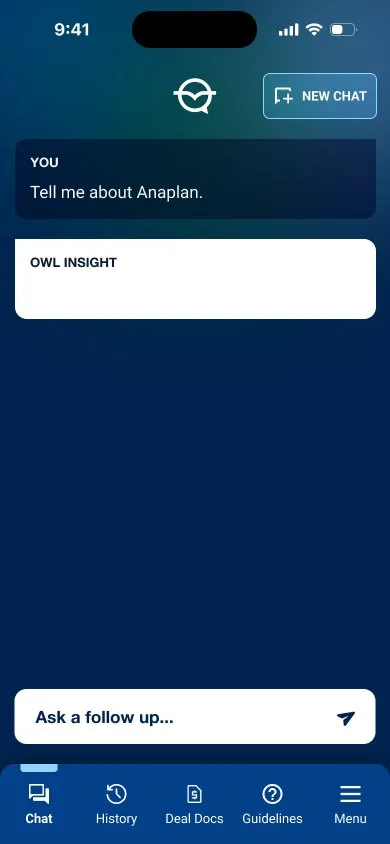 Blue Owl: answer