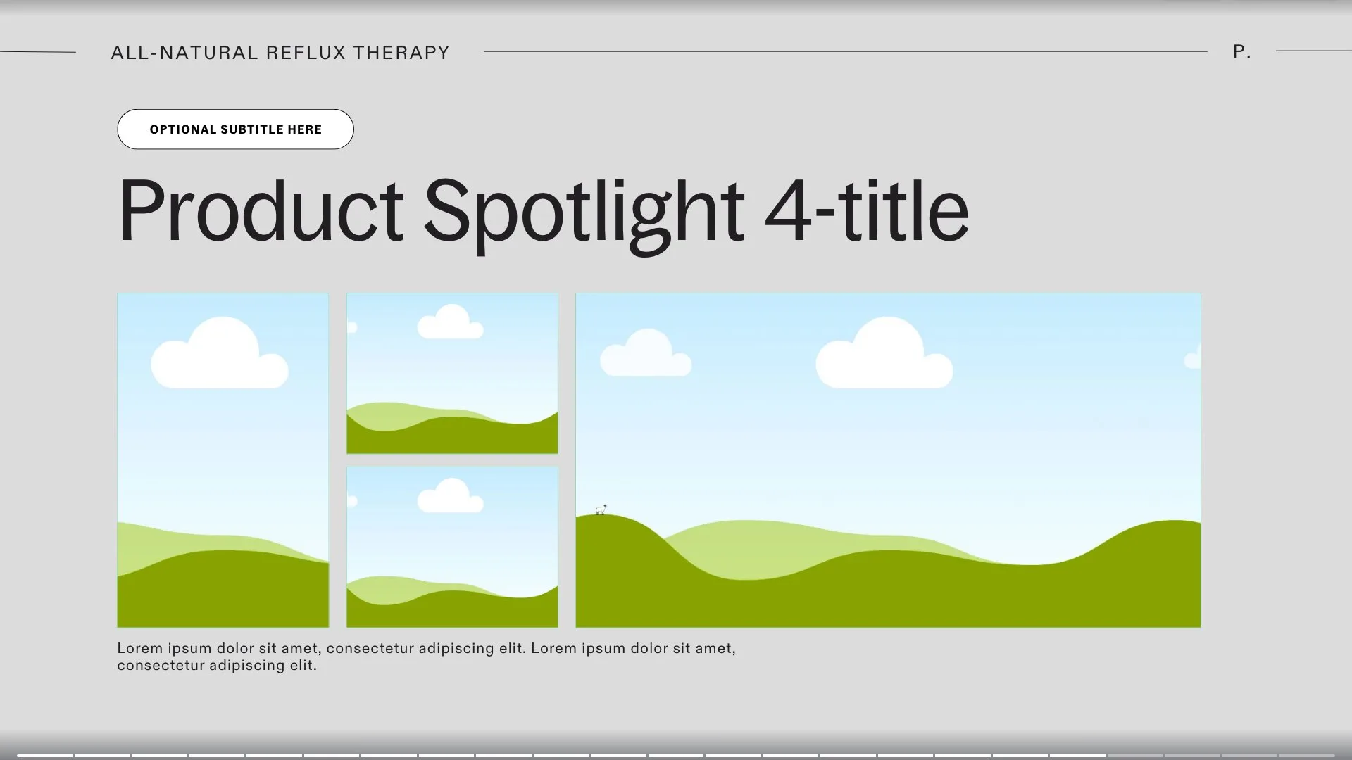 RefluxRaft: Slide 19