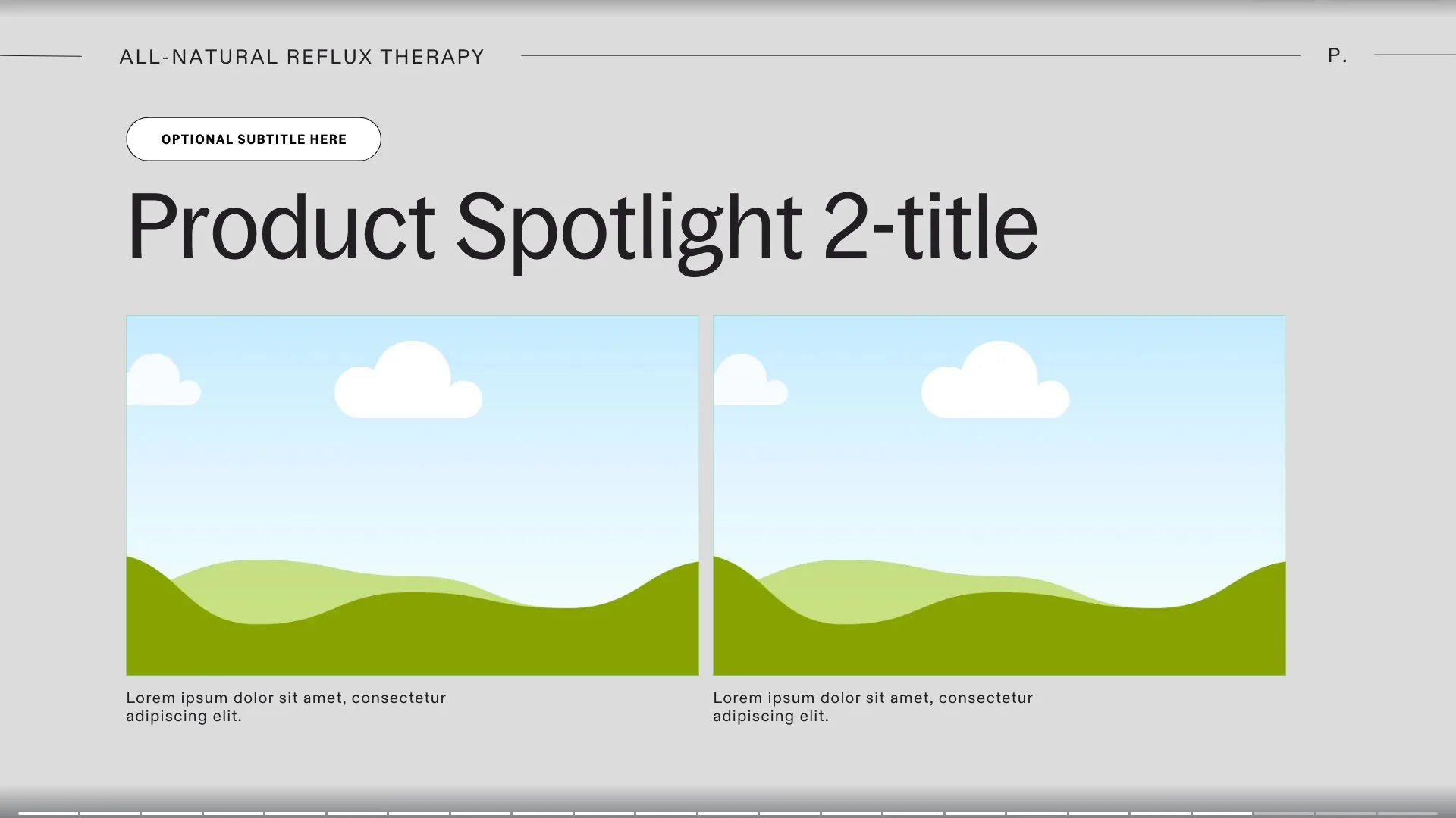 RefluxRaft: Slide 20