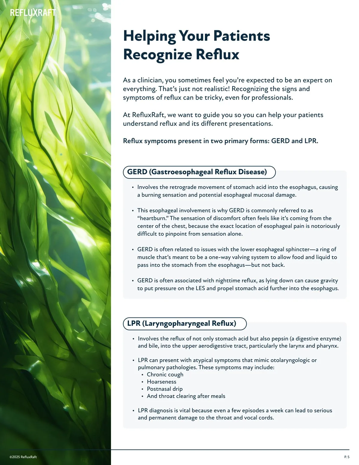 RefluxRaft: rfx eb05
